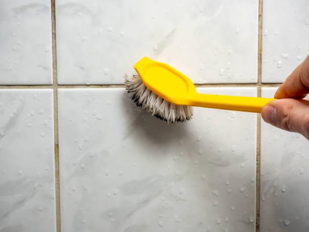 Best Residential Mold Removal  in Peoria Heights, IL