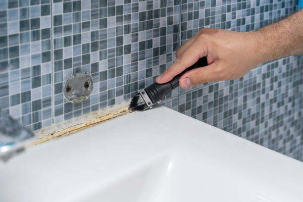 Best Emergency Mold Removal  in Peoria Heights, IL