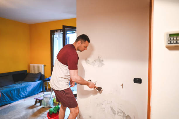 Best Mold Remediation  in Peoria Heights, IL